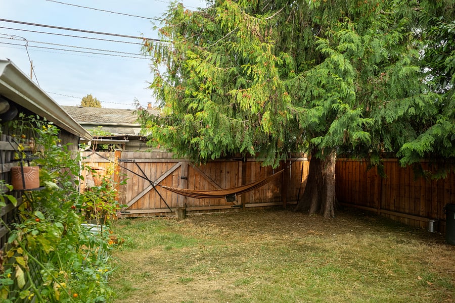 Fully fenced yard for pets to roam around freely or to entertain guests in the summertime.