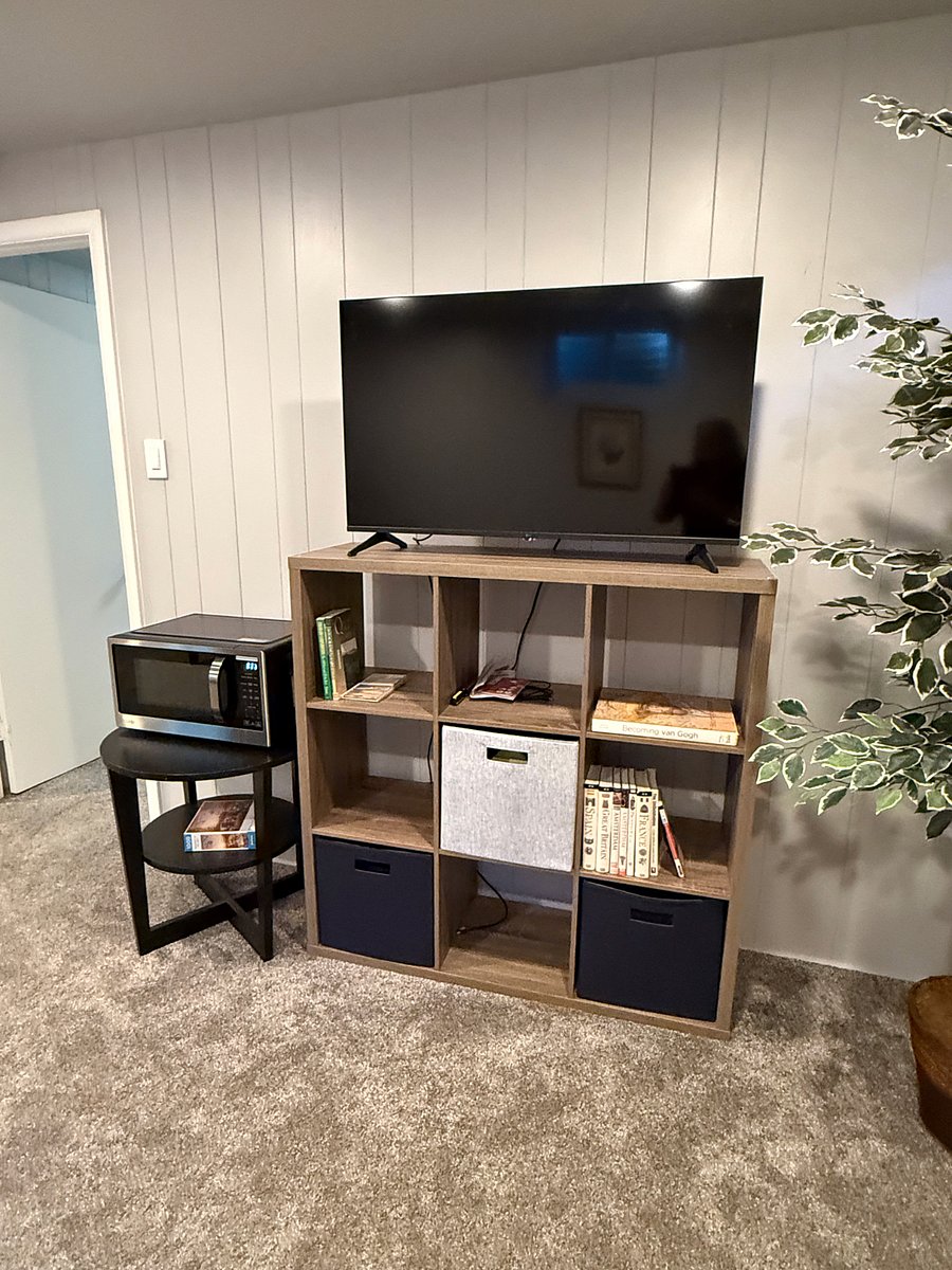 TV with stand