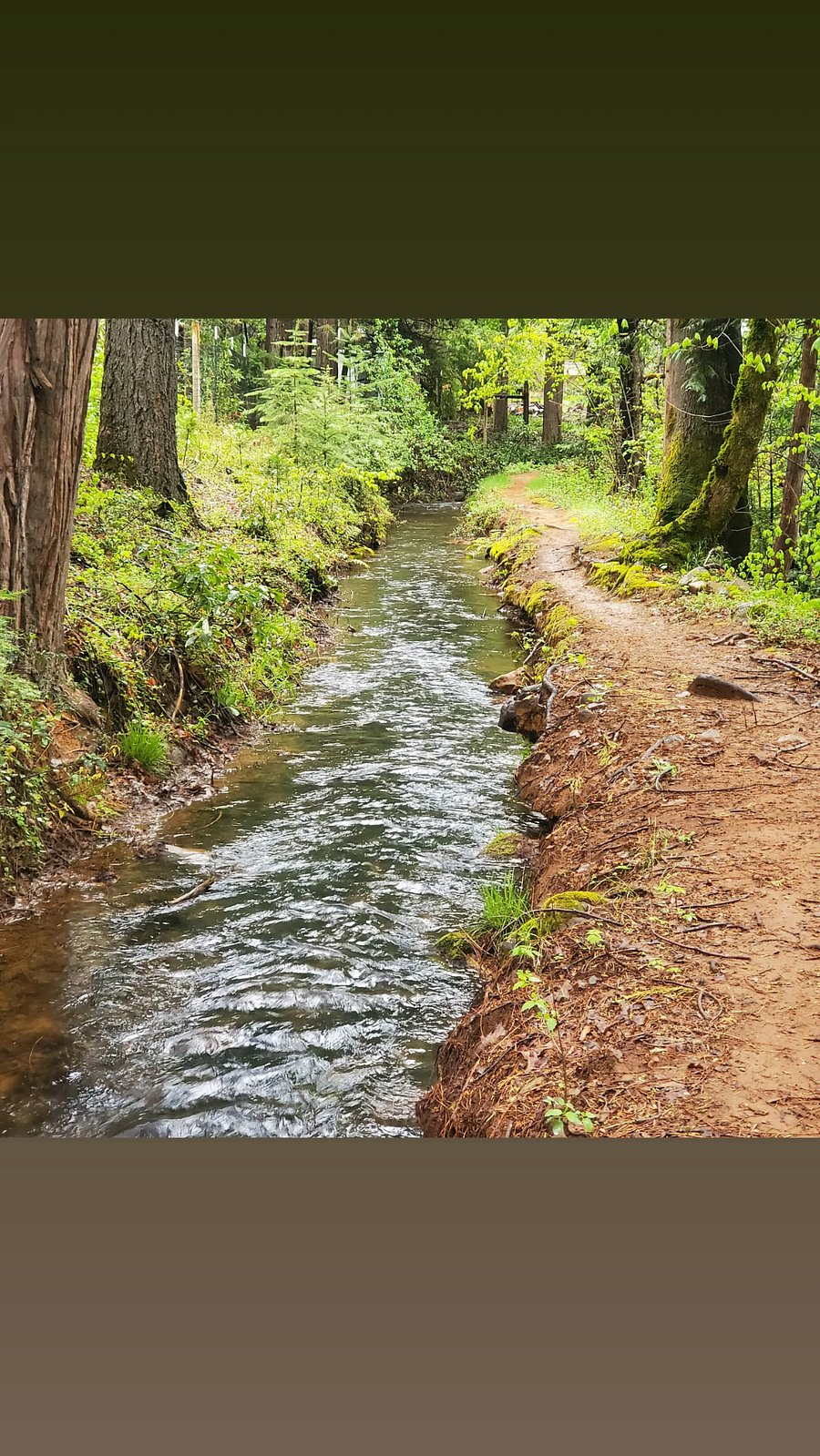 Furnished Finder property 909028_1 photo 28