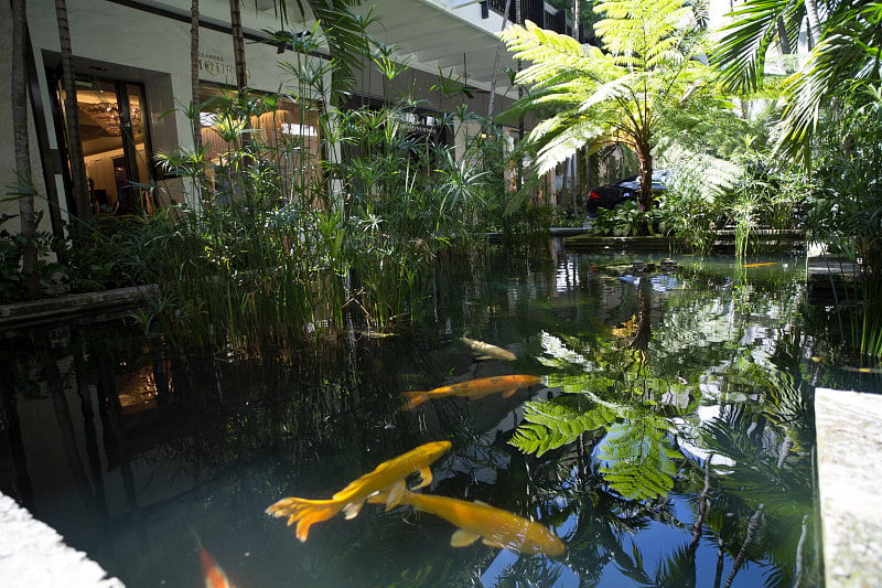 Experience the serene Koi Pond surrounded by lush plants inside the Bal Harbour Shops. This tranquil oasis offers a peaceful break from shopping and dining, just minutes from your apartment.