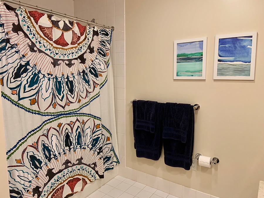 Guest bathroom 