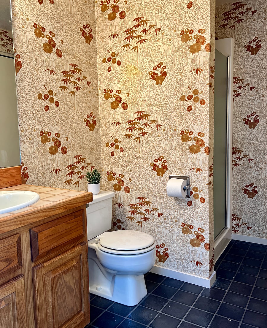 Guest bathroom with shower