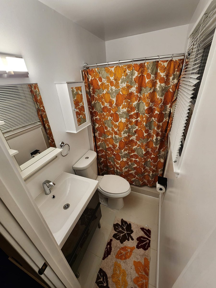 Furnished Finder property 909313_1 photo 13