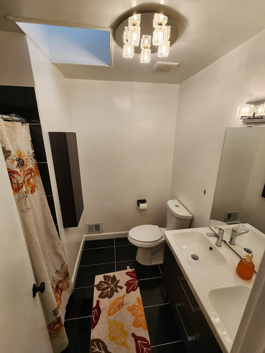 Furnished Finder property 909313_1 photo 15
