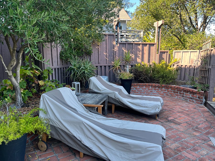 Cute brick patio with bay views, olive tree and privacy.