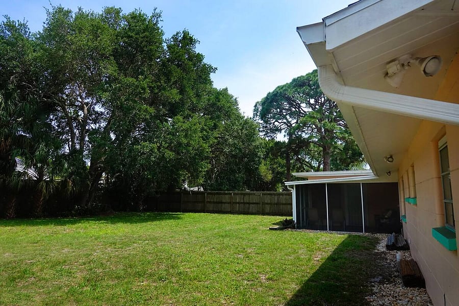 Backyard