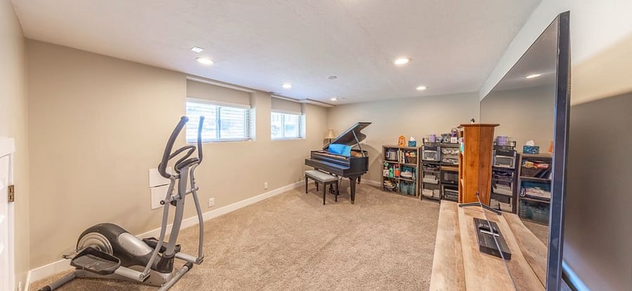 Basement Living Area

