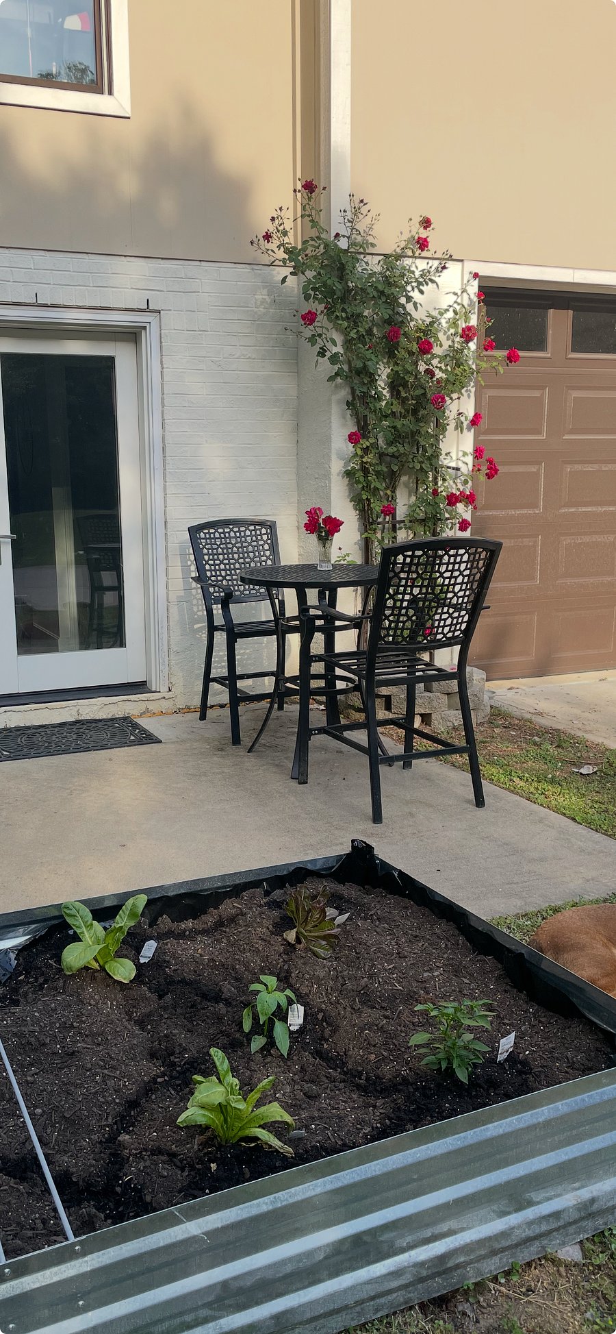 Patio off dining room