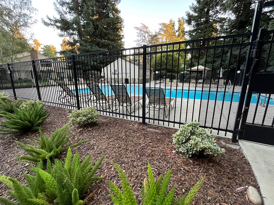 Elmhurst pool not heated.
