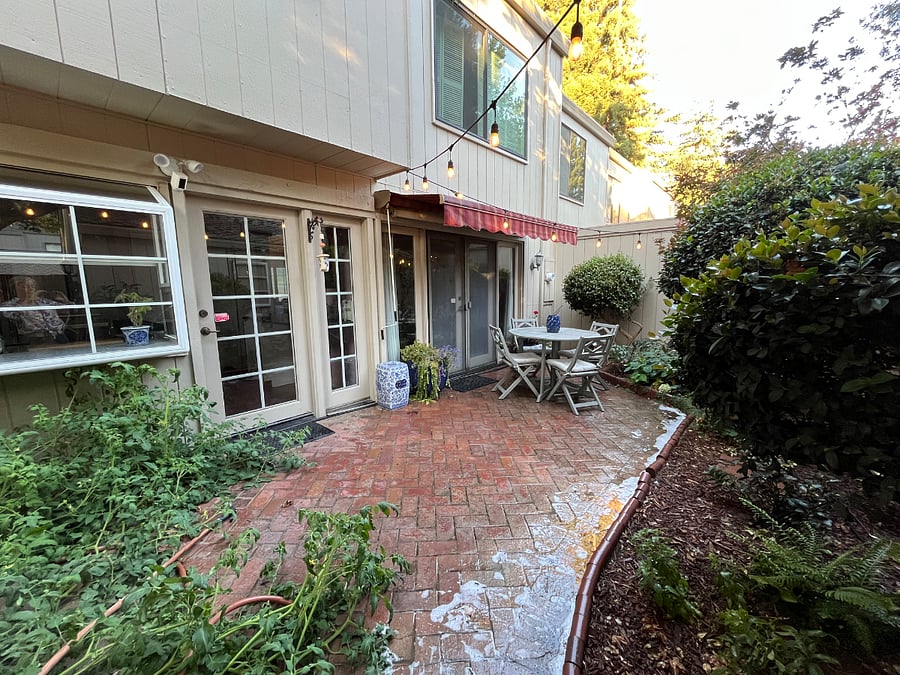 Tomato plants went wild and will be removed.