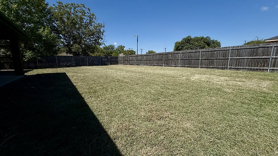 Back Yard