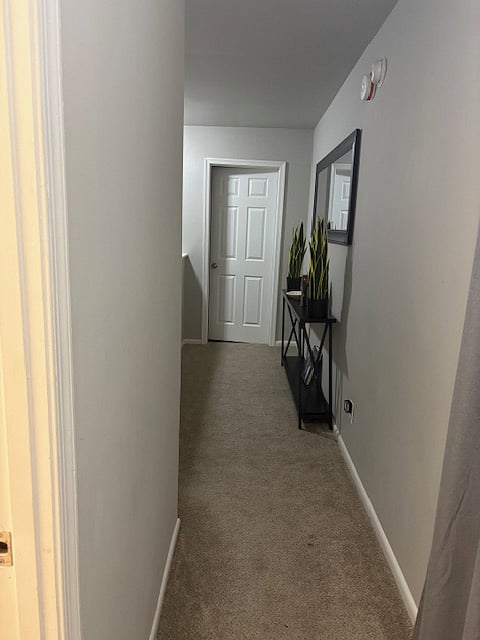 Furnished Finder property 909911_1 photo 15