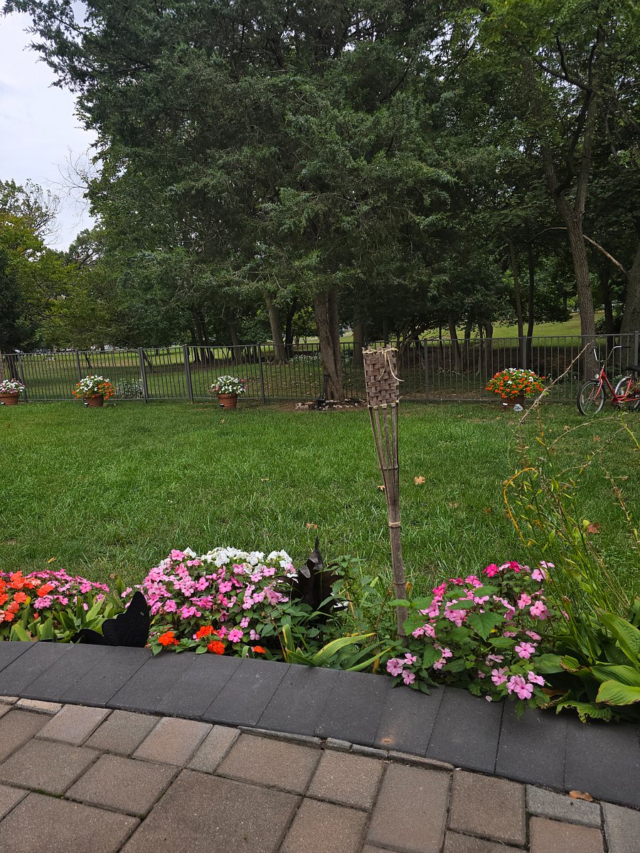 walk into Buccleuch Park from our back yard