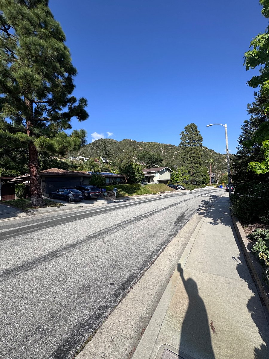 Street Parking. 1 block from National Forest.