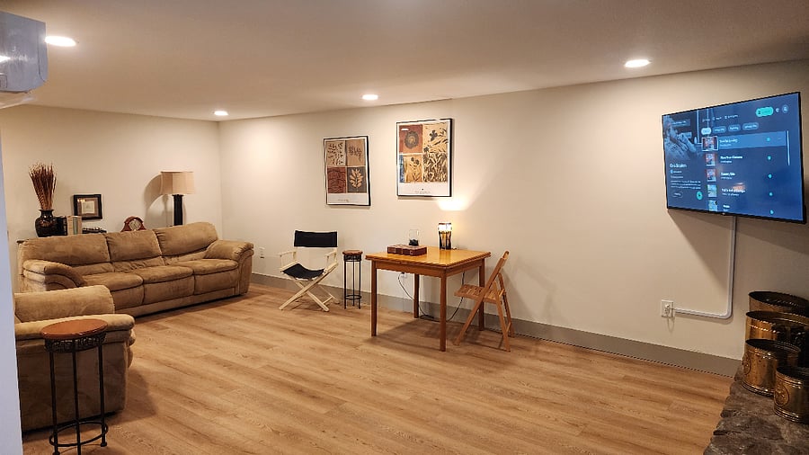 Downstairs Den