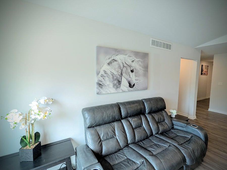 Furnished Finder property 910074_1 photo 4