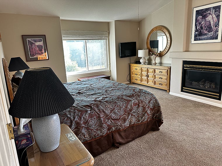 Master Bedroom - South View