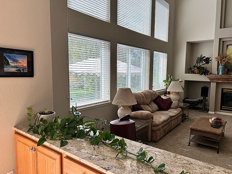 Great Room - South View