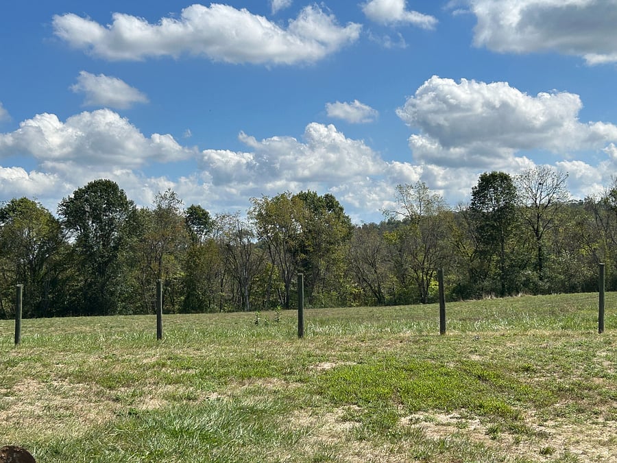 Patio view of back pasture and surrounding woods.
