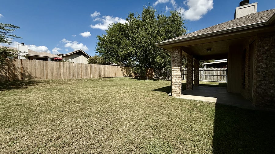 Back Yard