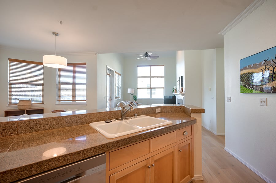 View from Kitchen