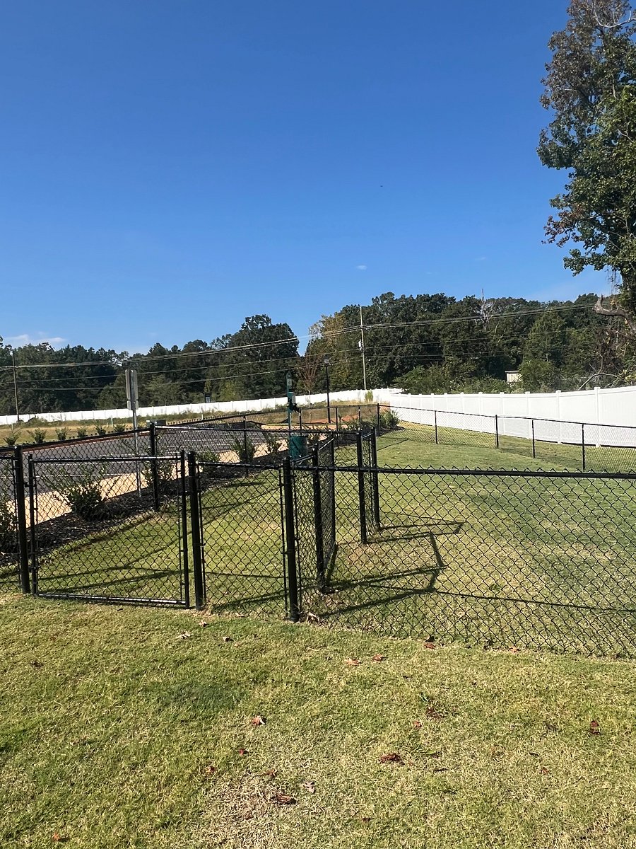 Dog Park