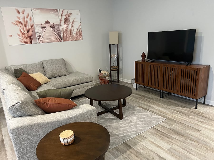 Den with Smart TV