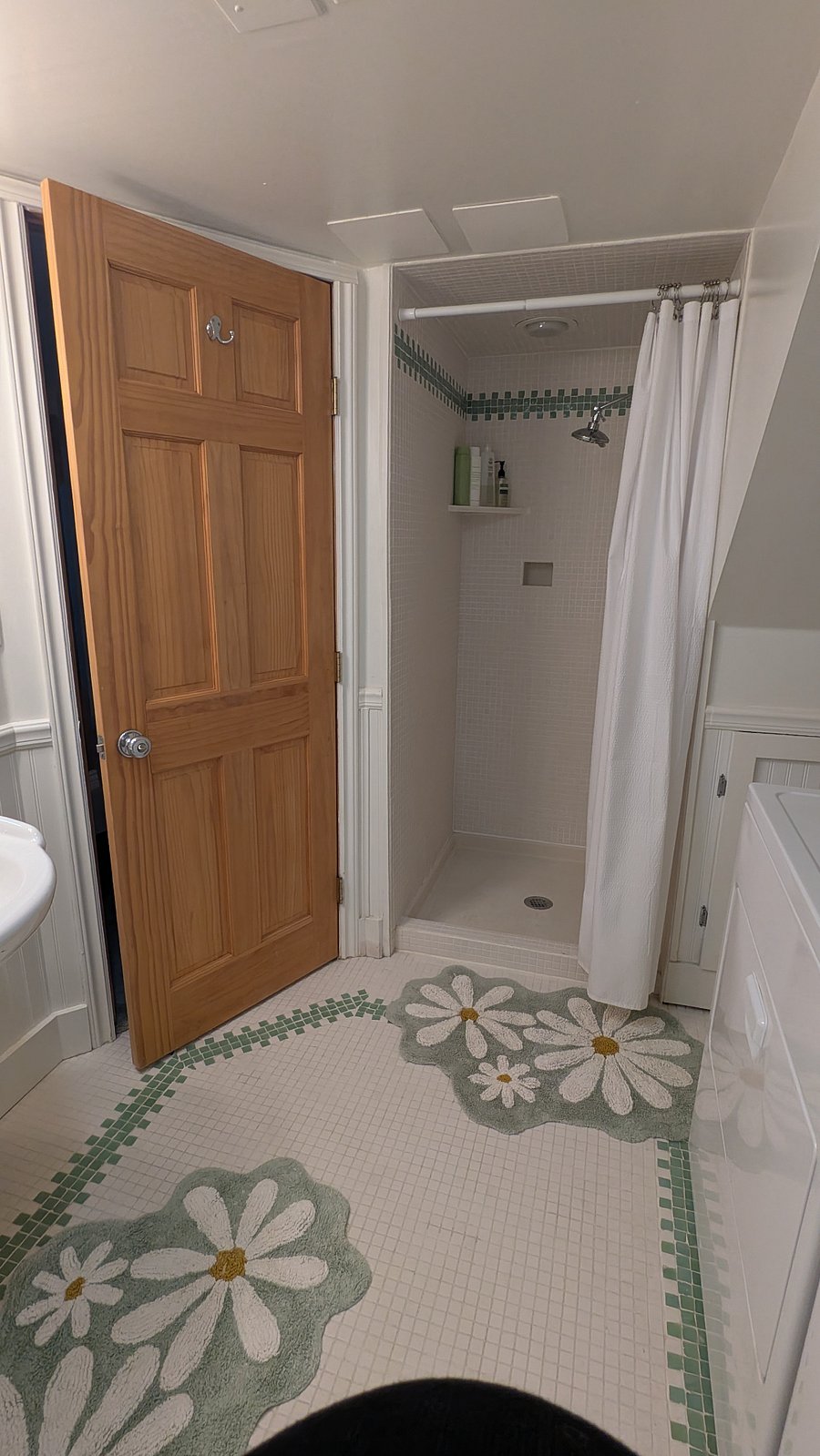 The downstairs bathroom..
