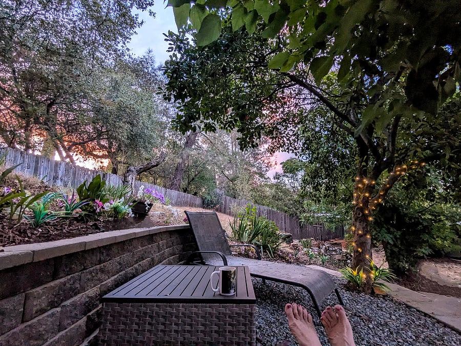 Sunset in the garden