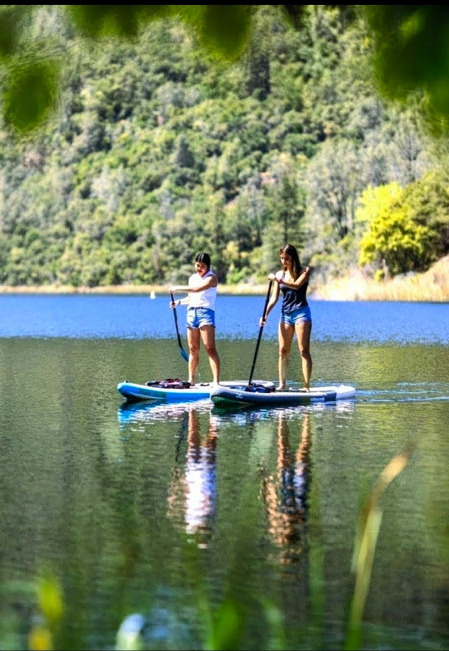 Lots of paddle boarding and water sports nearby