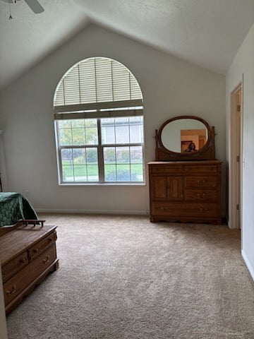 Furnished Finder property 910711_1 photo 10