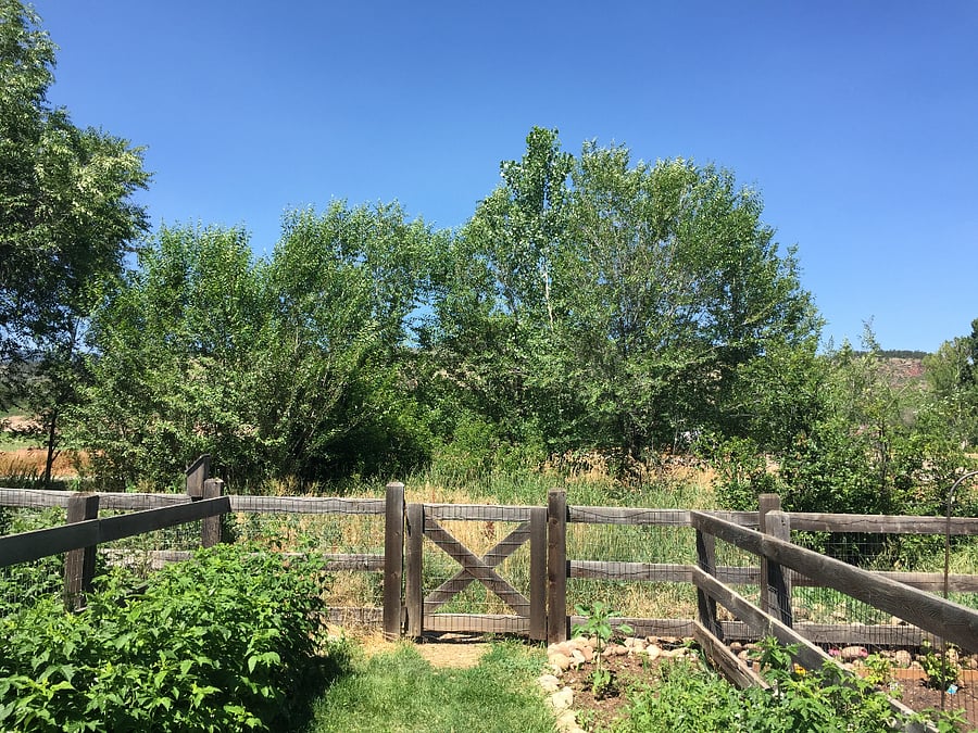 Gate to the trails out back
