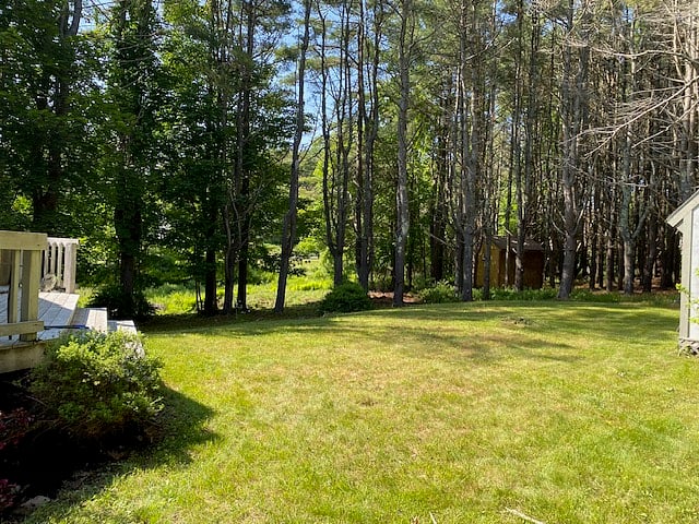 Furnished Finder property 911090_1 photo 19