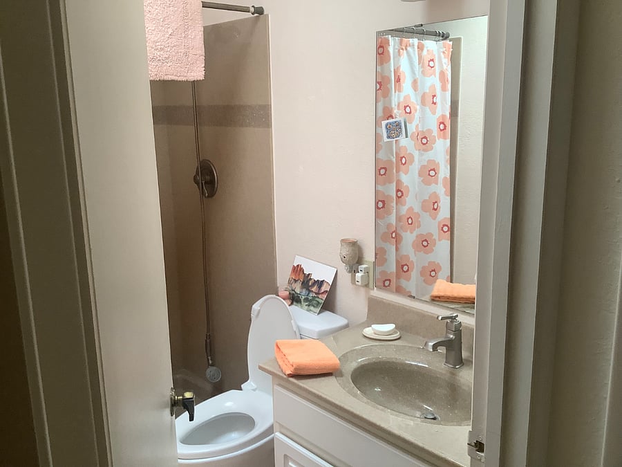 Guest bathroom.