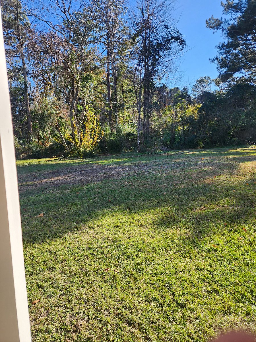 Furnished Finder property 911328_1 photo 12