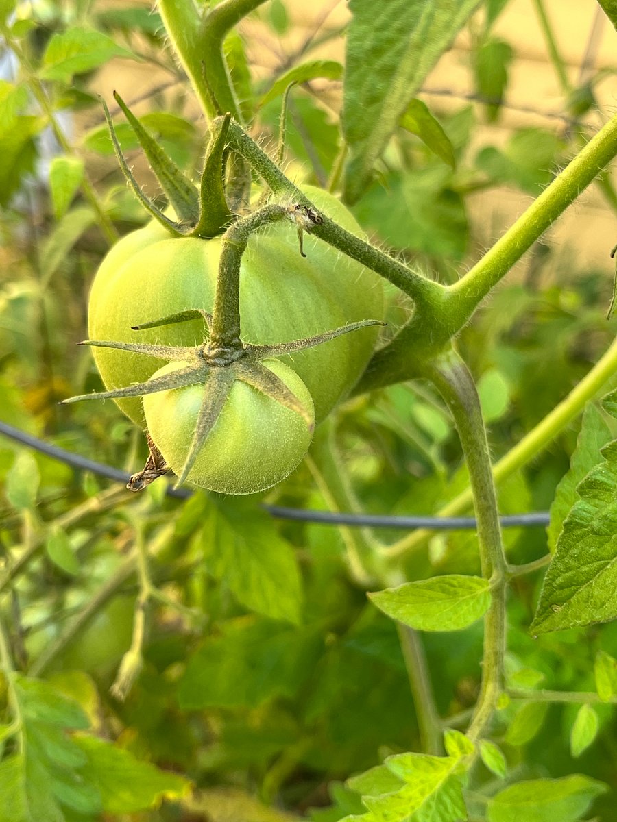 Furnished Finder property 911343_1 photo 26