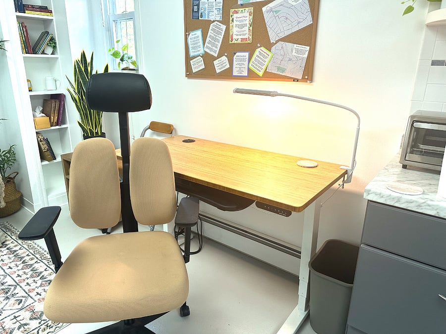 This desk powers up or down, so if you want to stand while working... you can! Super-comfortable, back-supporting high-tech chair.