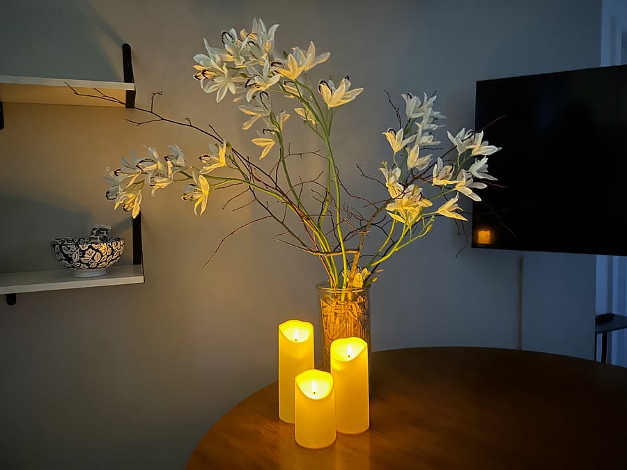 Would you like a little candlelight at dinner? These battery powered candles are for your enjoyment.