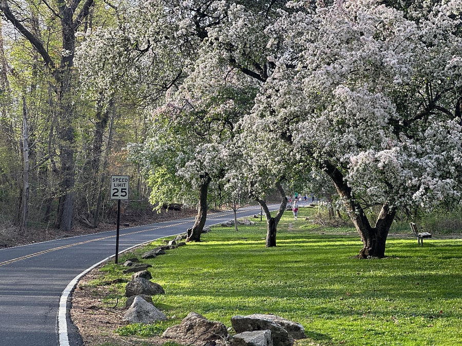Just blocks away from your apartment space is historic "Karakung Drive"... which is part of a 1.5 circuit that you can walk or jog.