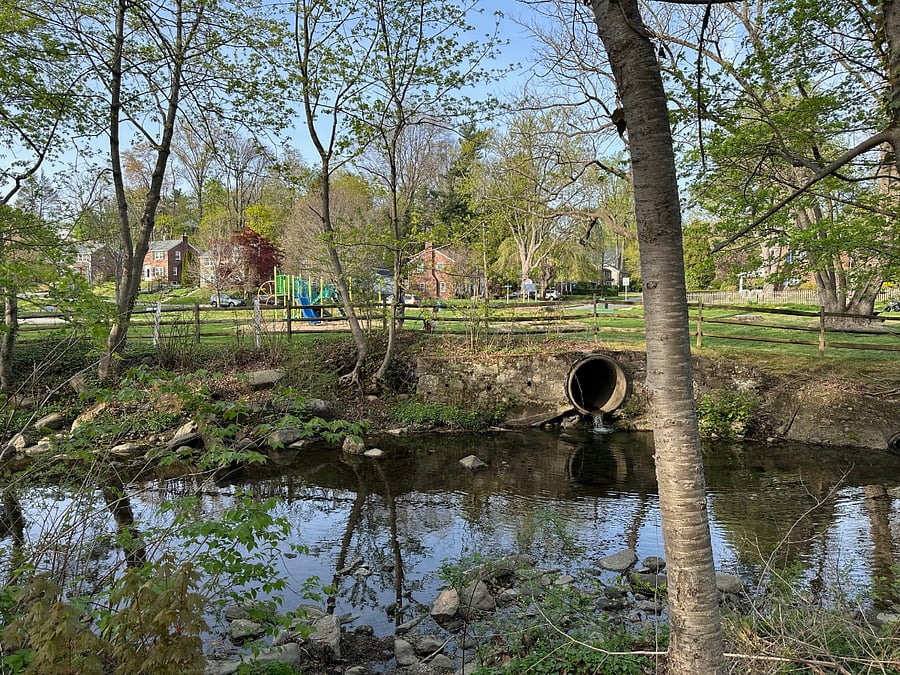 A view of Cobbs Creek, on Karakung Drive, just a 5 minute walk from your apartment space.