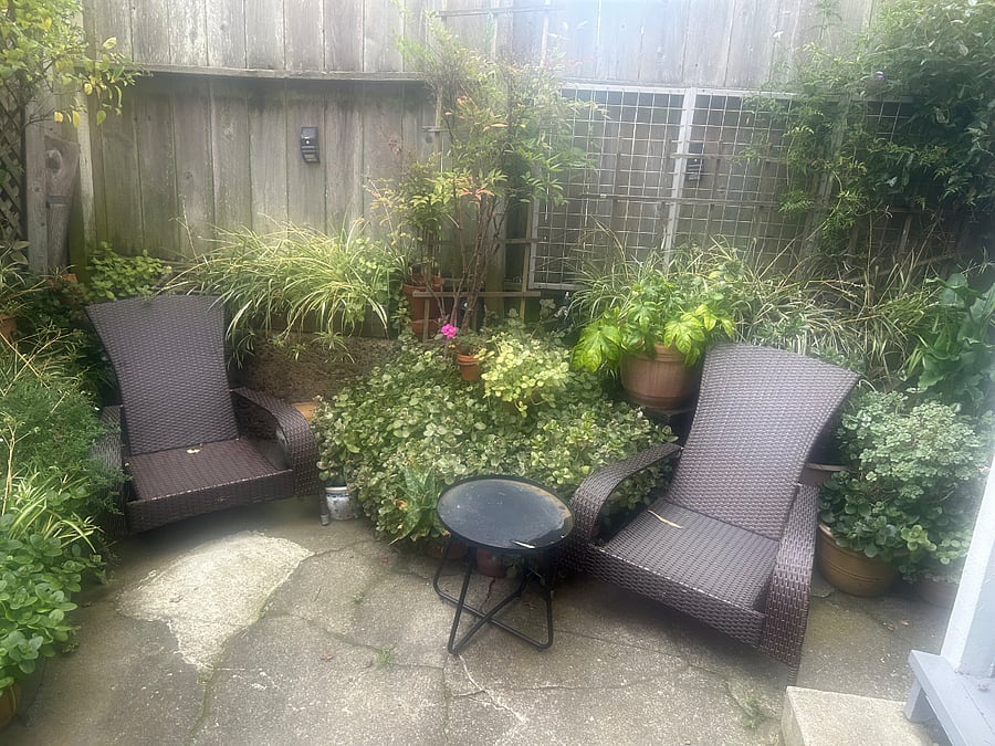 shared yard