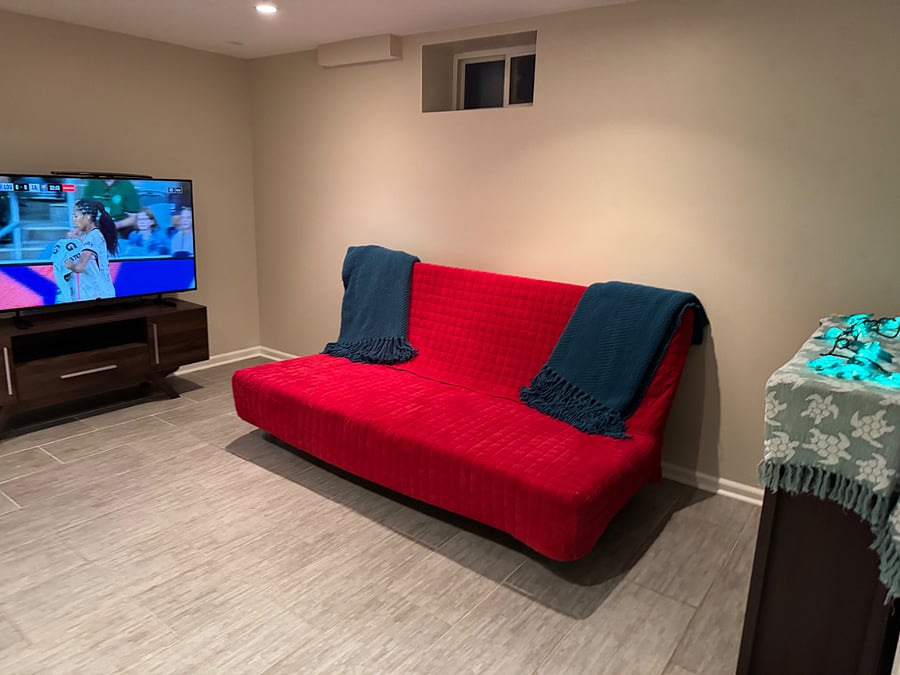 Basement Area living space