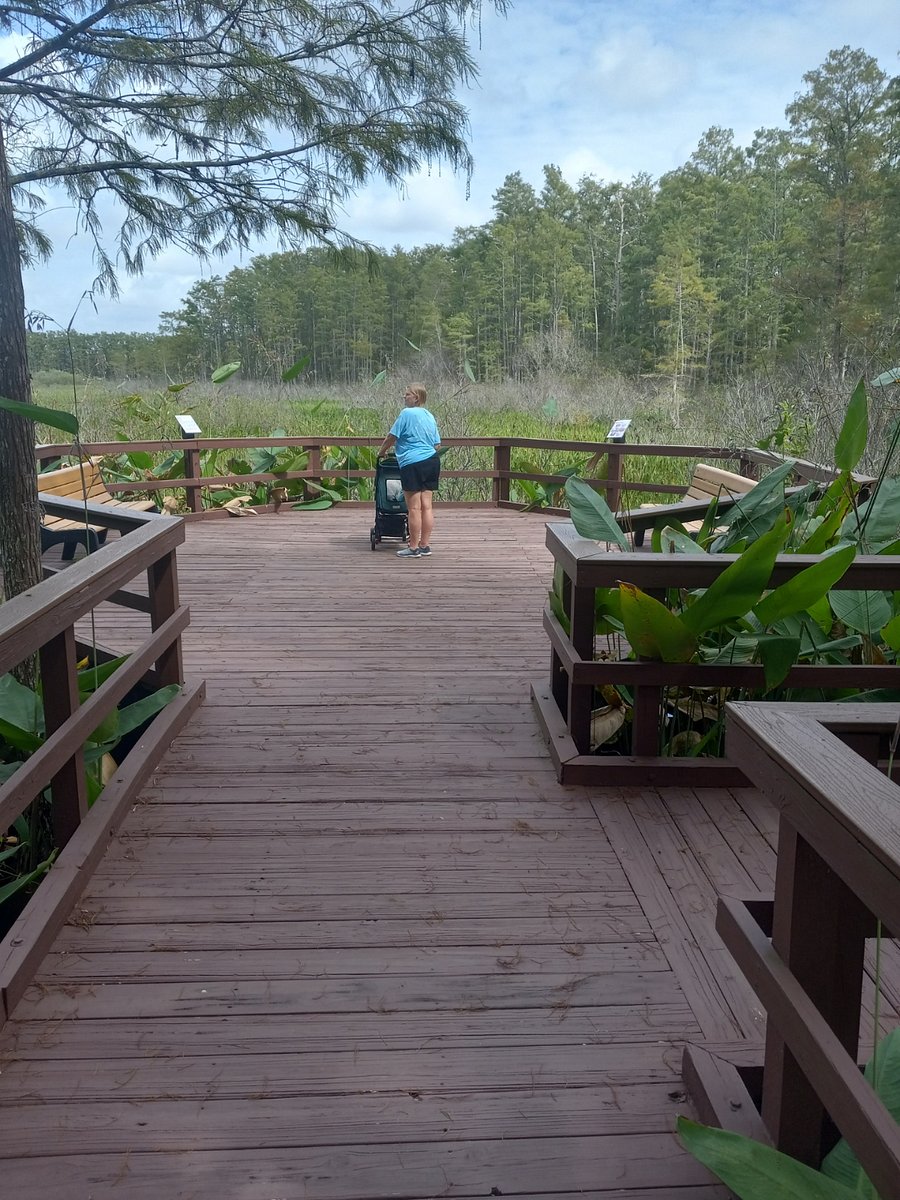 Beautiful 2-mile walking trail through a preserve with lots of wildlife to enjoy.