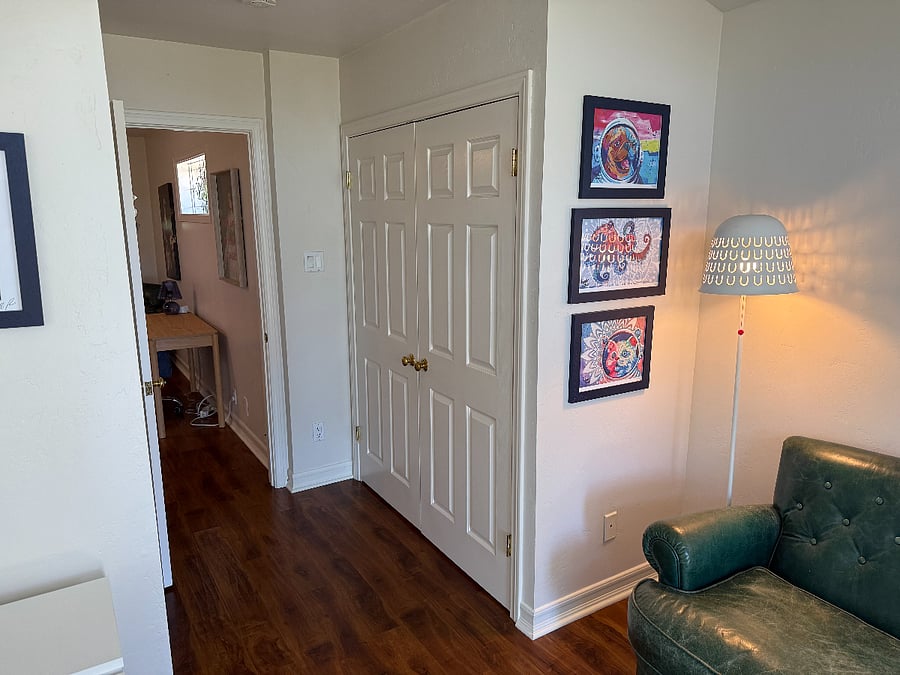Large closet for storage space