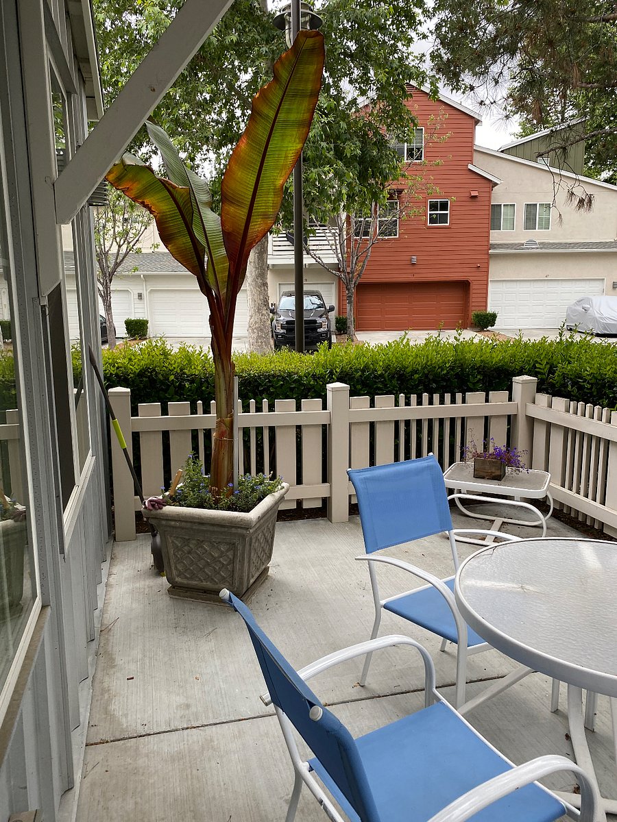 Furnished Finder property 911674_1 photo 14