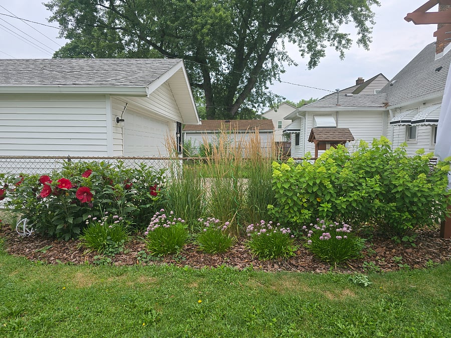 Perrenial garden in bloom early summer to late fall.