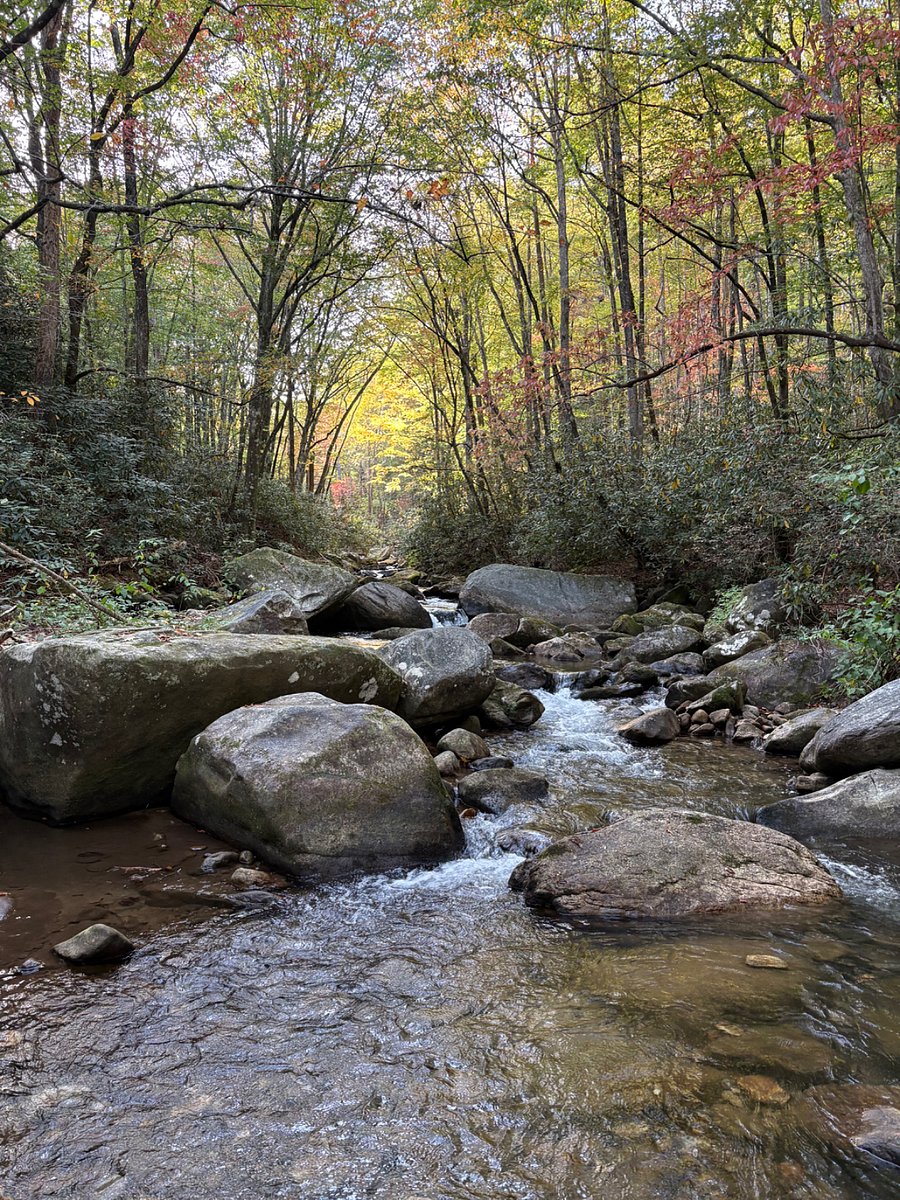 Jones Gap State Park 50 minutes from home. Waterfalls, fishing, camp sites