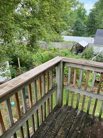 Furnished Finder property 911990_1 photo 17
