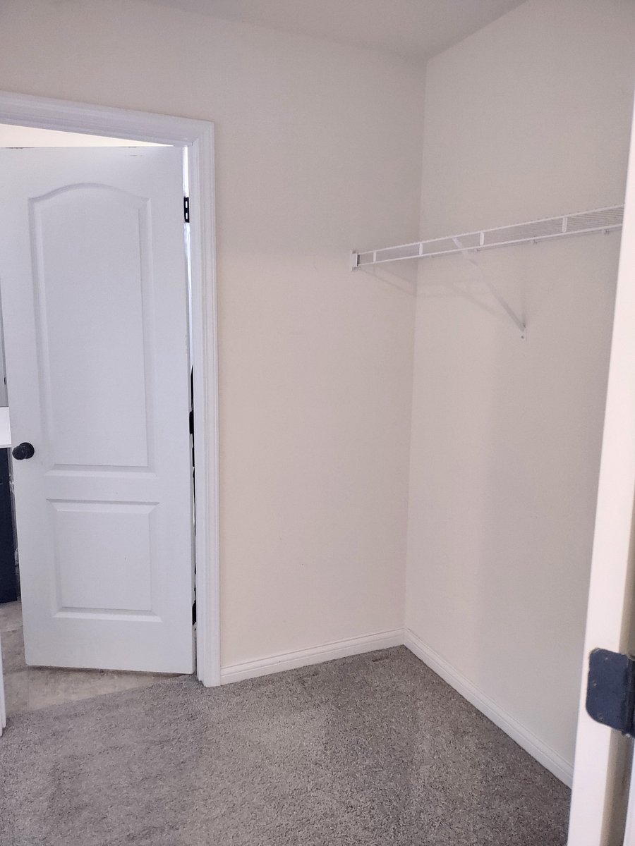 Master Bedroom walk-through closet