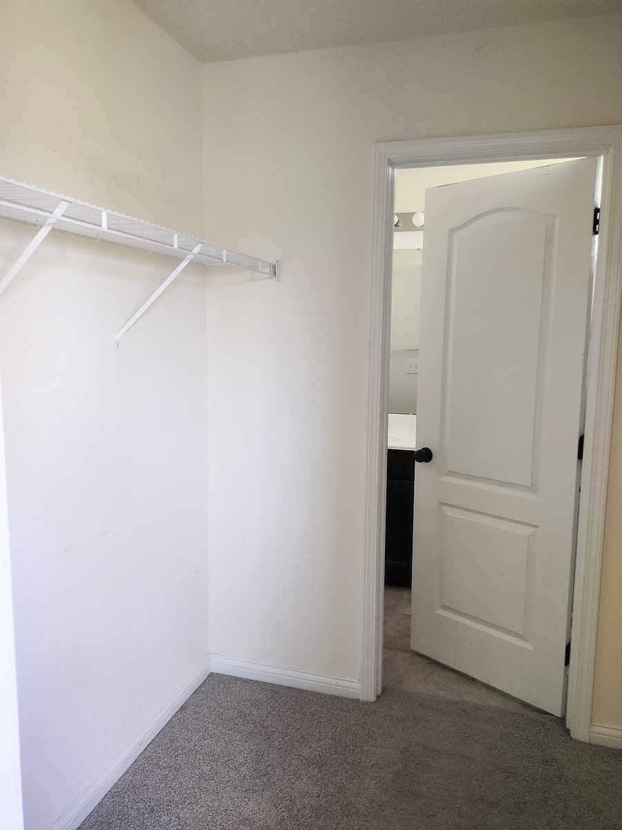 Master bedroom walk-through closet